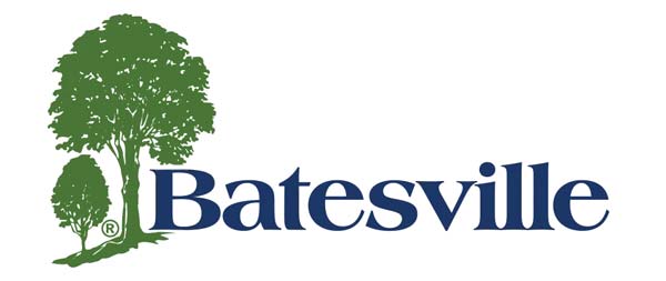 Diversified Insurance Industries